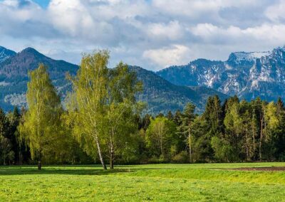 Wie hilft der Förderverein?